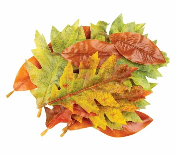 Autumn Leaves Assorted Plastic Pack of 50